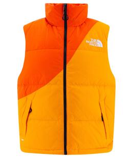 THE NORTH FACE: Жилет 