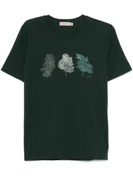 Canali: Хлопковая футболка 
