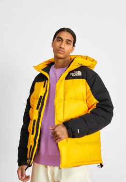 The North Face: Золотой пуховик 