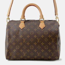 Louis Vuitton: Коричневая сумка  Speedy