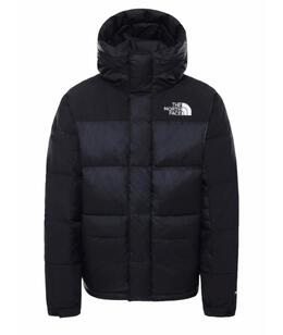 THE NORTH FACE: Пуховик в сетку 