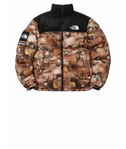 THE NORTH FACE: Пуховик 