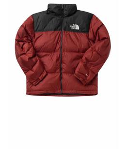 THE NORTH FACE: Зимний пуховик 