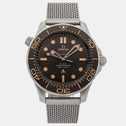 Omega: Часы  Seamaster