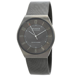 Skagen: Часы 