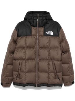 The North Face: Коричневая куртка  Lhotse