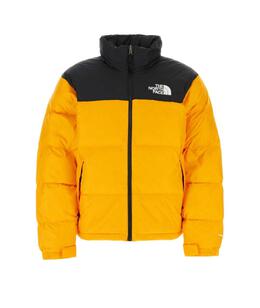 THE NORTH FACE: Двухцветный пуховик 