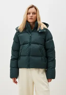 Lacoste: Зимний пуховик 