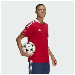 adidas: Красная футболка 