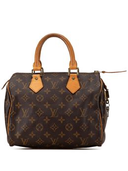 Louis Vuitton Pre-Owned: Коричневая сумка 