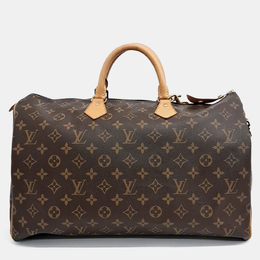 Louis Vuitton: Коричневая сумка  Speedy