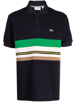 Lacoste: Поло в полоску 