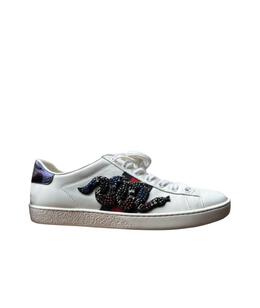 GUCCI: Кеды 