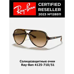 Ray-Ban: Очки 