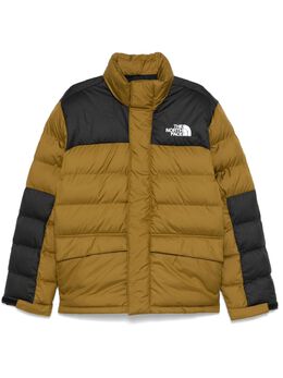 The North Face: Зелёная куртка 