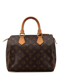 Louis Vuitton Pre-Owned: Коричневая сумка 