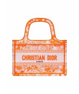 CHRISTIAN DIOR: Сумка 