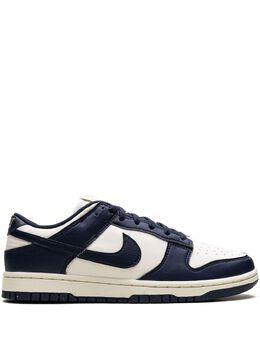 Nike: Синие кроссовки  Dunk Low
