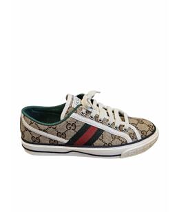 GUCCI: Кеды 