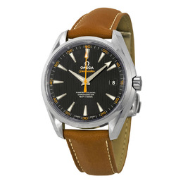 Omega: Часы  Aqua Terra