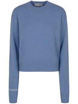 Sportmax: Голубой свитер 