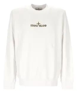 Stone Island: Белый свитшот 