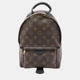 Louis Vuitton: Коричневый рюкзак 