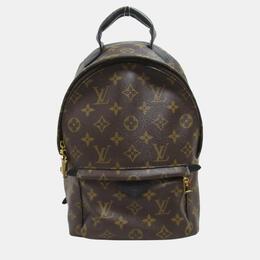 Louis Vuitton: Коричневый рюкзак 