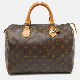 Louis Vuitton: Коричневая сумка  Speedy 30