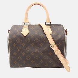 Louis Vuitton: Коричневая сумка  Speedy