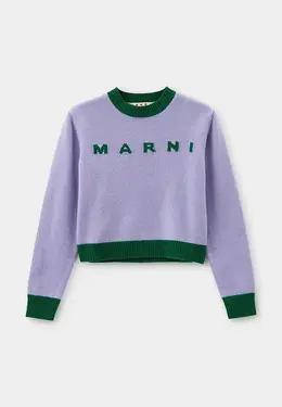 Marni: Фиолетовый свитер 