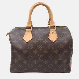 Louis Vuitton: Коричневая сумка  Speedy 25