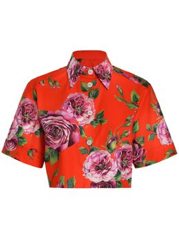 Dolce & Gabbana: Рубашка с растительным принтом 
