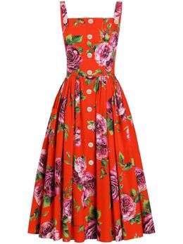Dolce & Gabbana: Платье с растительным принтом 