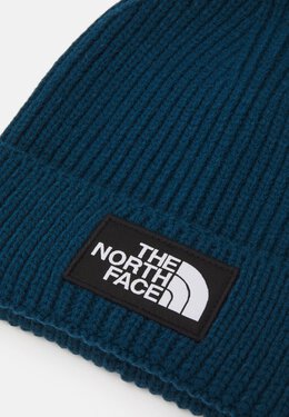 The North Face: Тёмная кепка  Logo Box