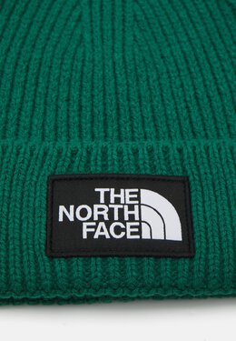 The North Face: Зелёная кепка  Logo Box