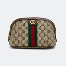 Gucci: Косметичка  Ophidia