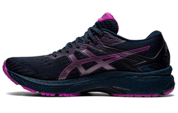 Asics: Кроссовки  GT-2000 9