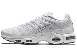 Nike: Синие кроссовки  Air Max Plus