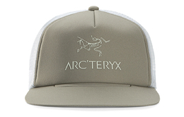 Arcteryx: Серая кепка 