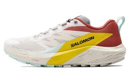 Salomon: Кроссовки 