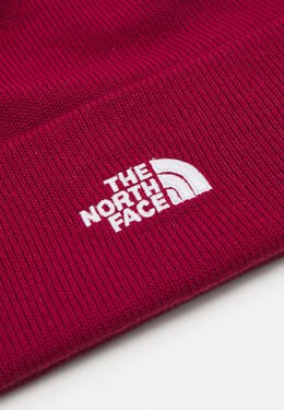 The North Face: Шапка  Norm