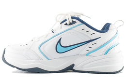 Nike: Белые кроссовки  Air Monarch