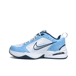 Nike: Голубые кроссовки  Air Monarch