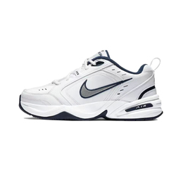 Nike: Белые кроссовки  Air Monarch