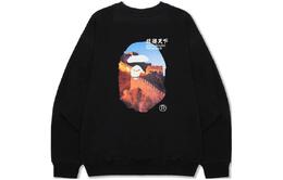 A BATHING APE: Серая толстовка 