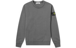 Stone Island: Серая толстовка 