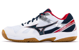 Mizuno: Кроссовки 