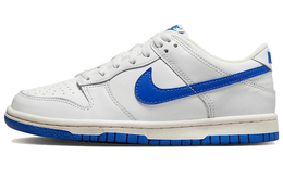 Nike: Голубые кроссовки  Dunk