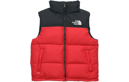 The North Face: Жилет  1996